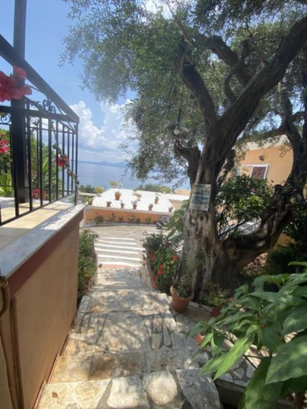Emilios See View Apartment Barbati Dış mekan fotoğraf